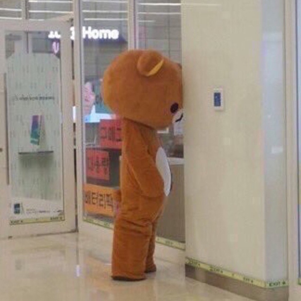 Meet your Posher, Belle